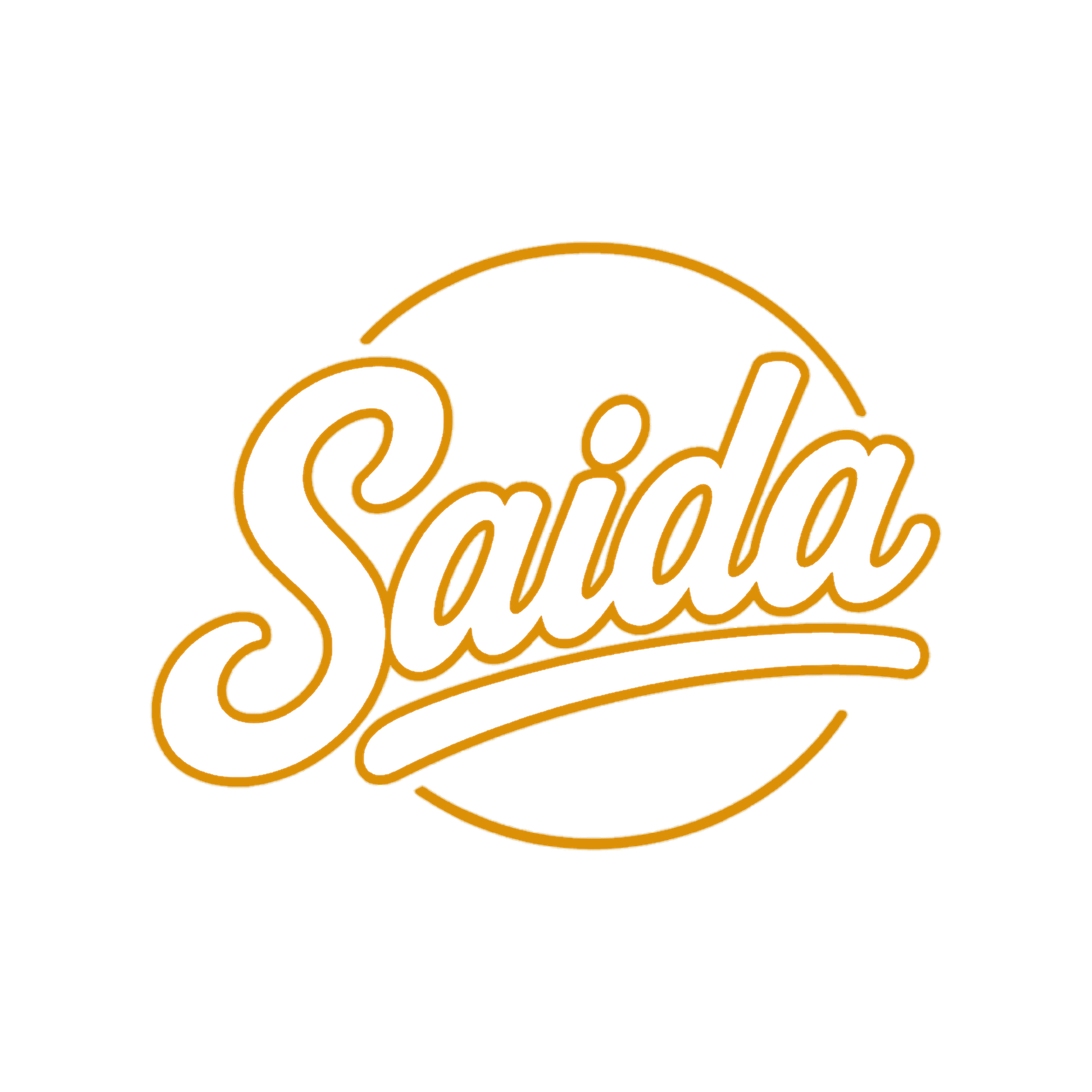 Logo oficial SAIDA